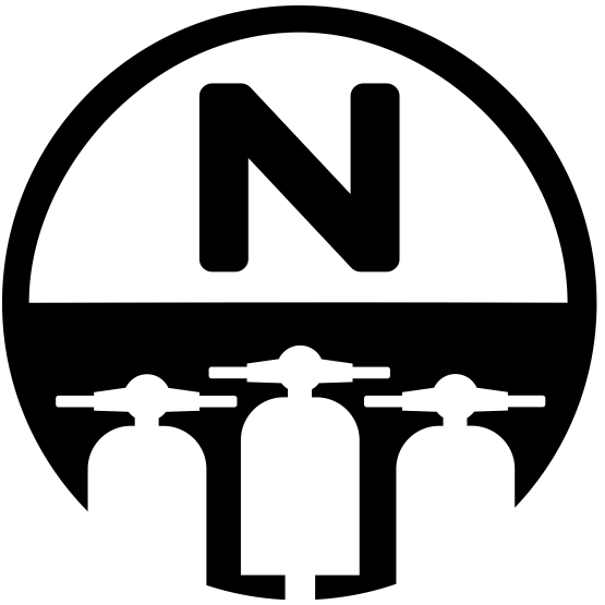 BiN-Logo