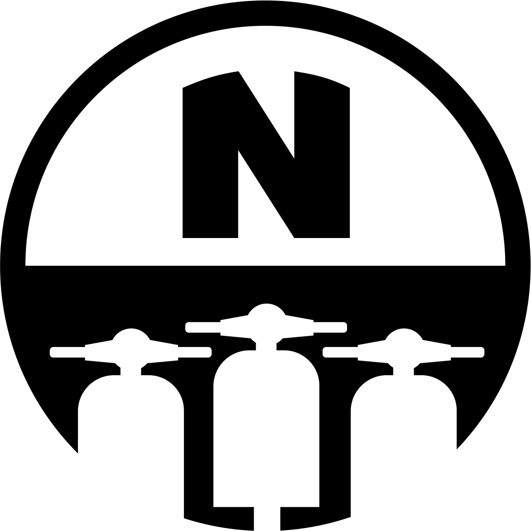 BiN-Logo